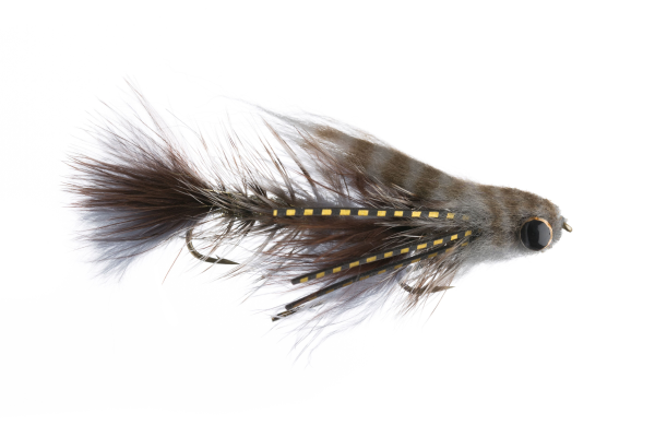 Baby Gonga streamer fly